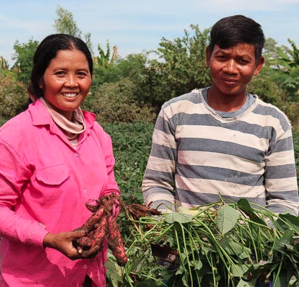Equip a farming family